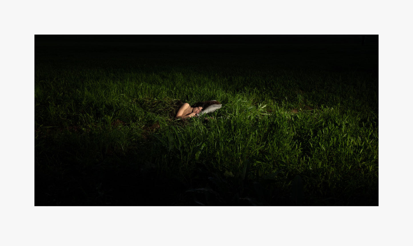 Bed of Grass
