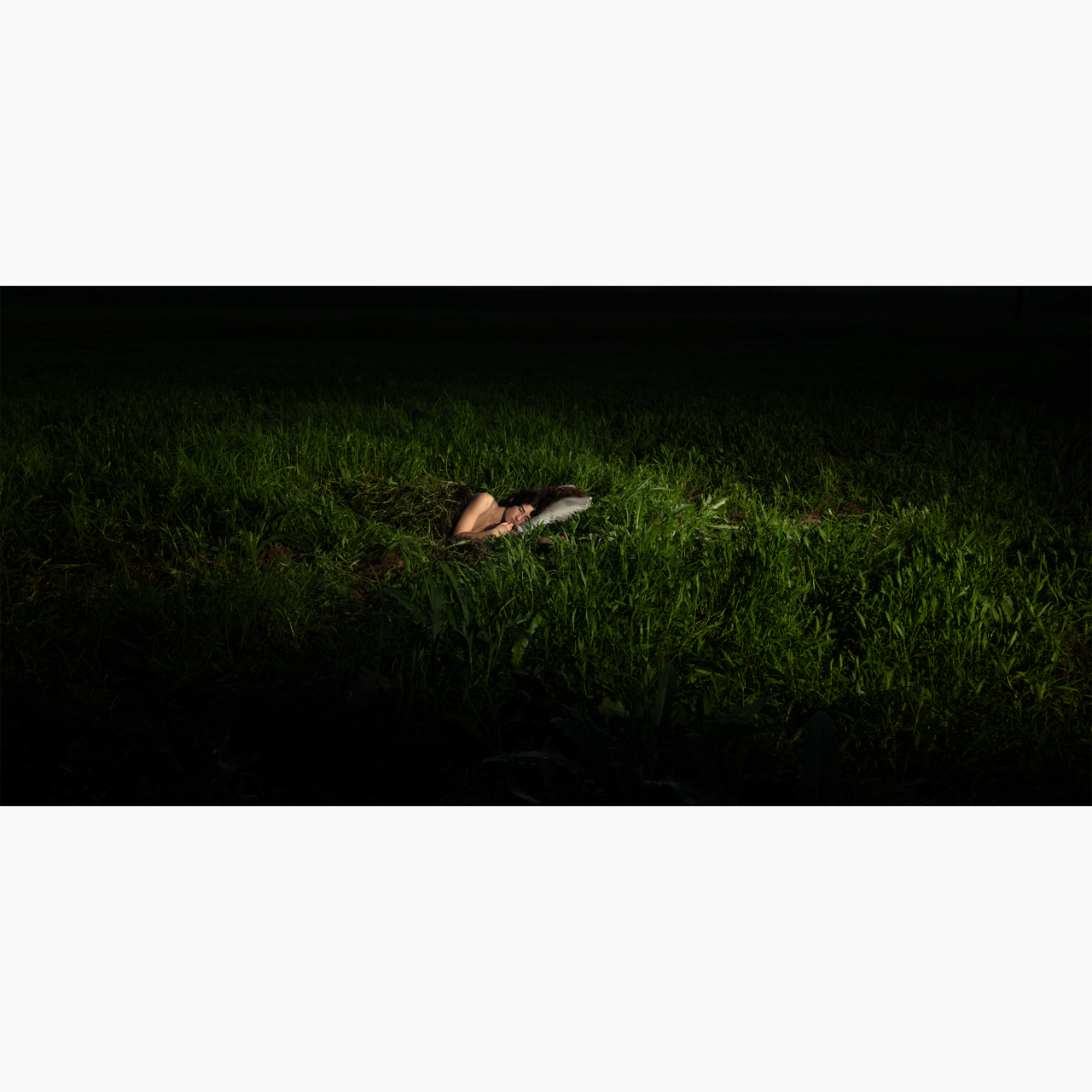 Bed of Grass