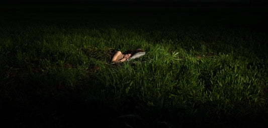 Bed of Grass