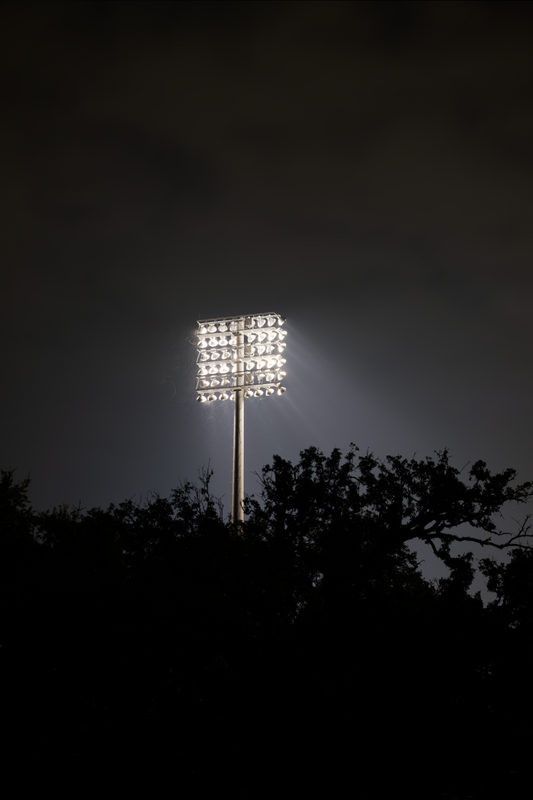 Bright Lights