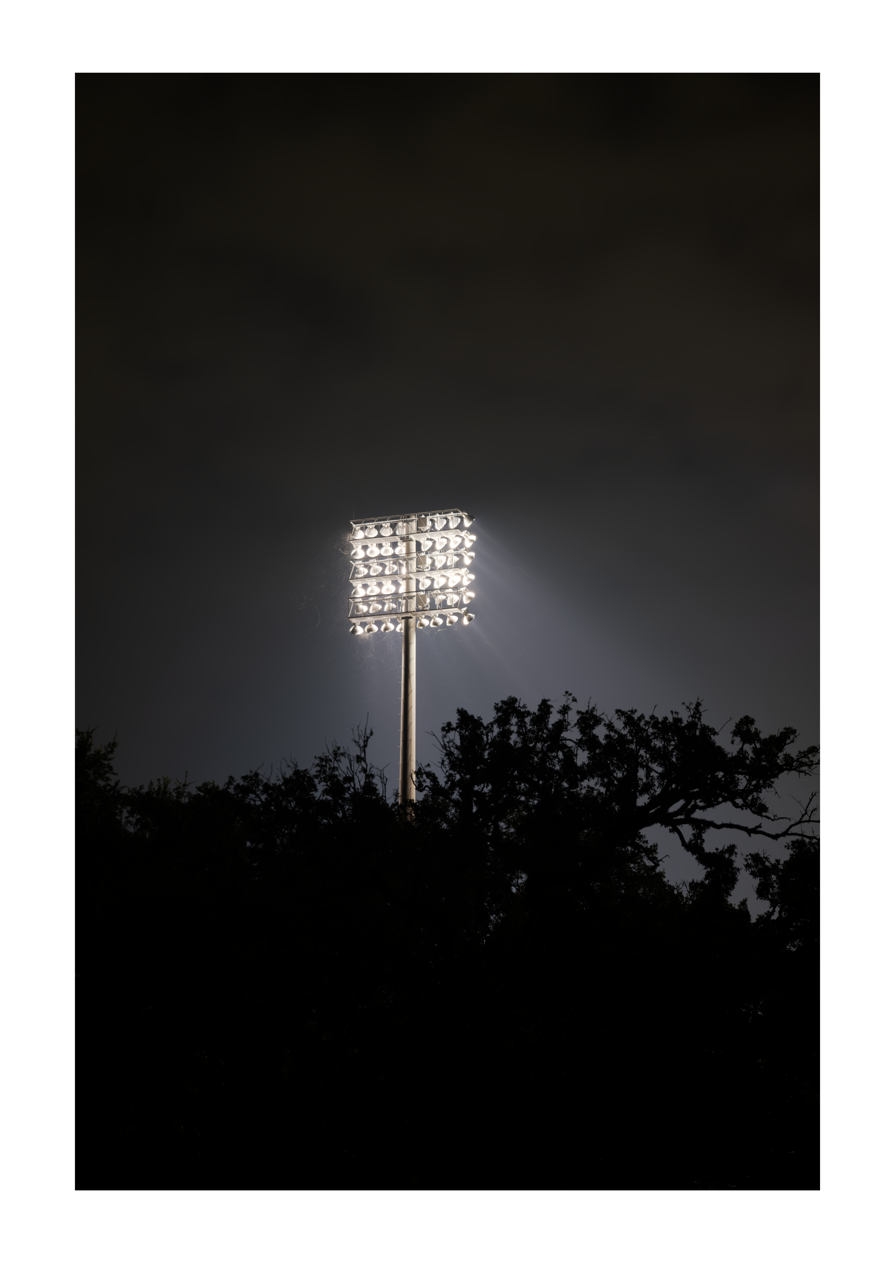 Bright Lights