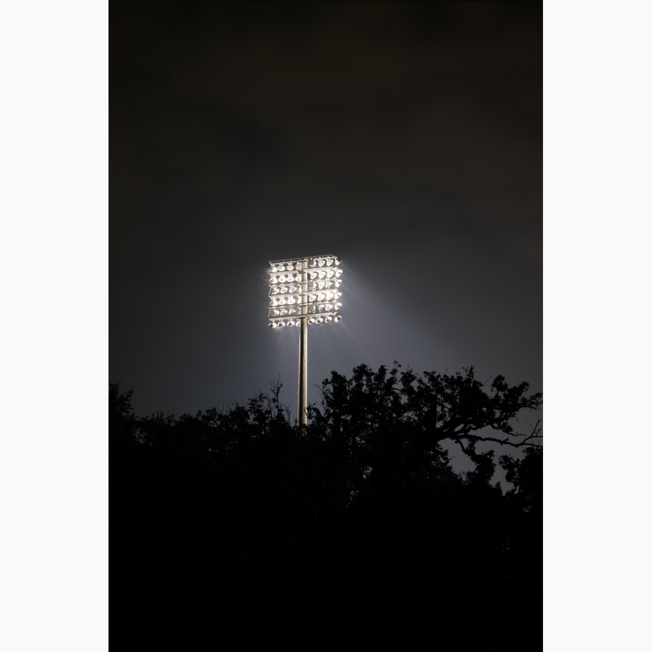 Bright Lights