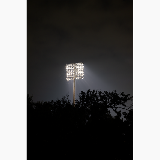 Bright Lights
