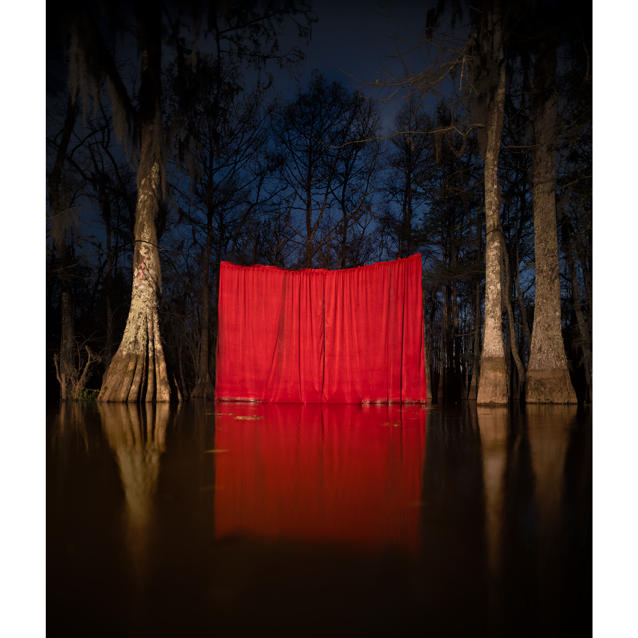 Curtains 5 (Curtains in the Swamp)