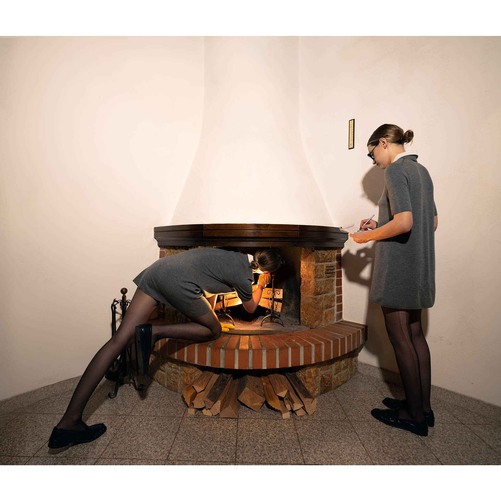Hearth Inspection (After Plath)